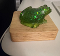 FROG LOVERS Frog COMFORT Lights - Art Lights Collection